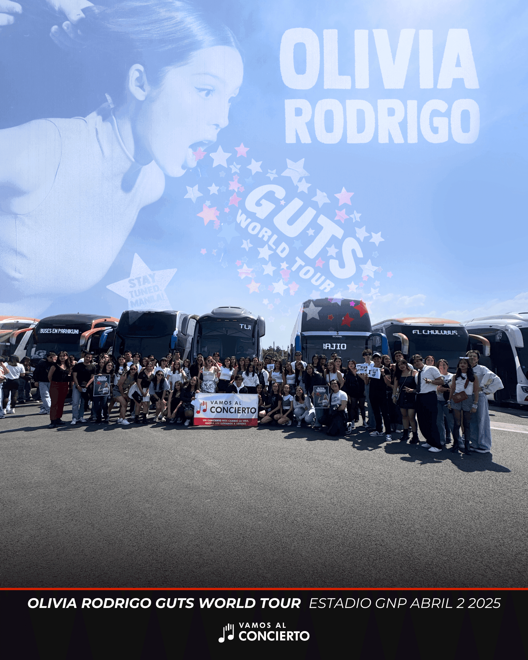 Imagen de la galería 8